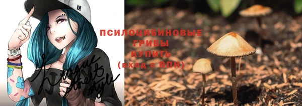 apvp Горняк