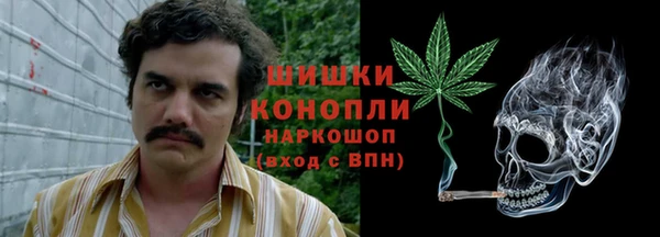 apvp Горняк