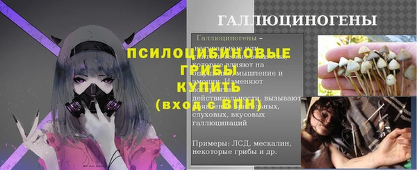 бошки Горно-Алтайск