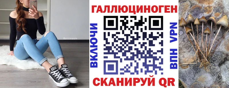 Псилоцибиновые грибы мицелий  купить наркотик  Данилов 